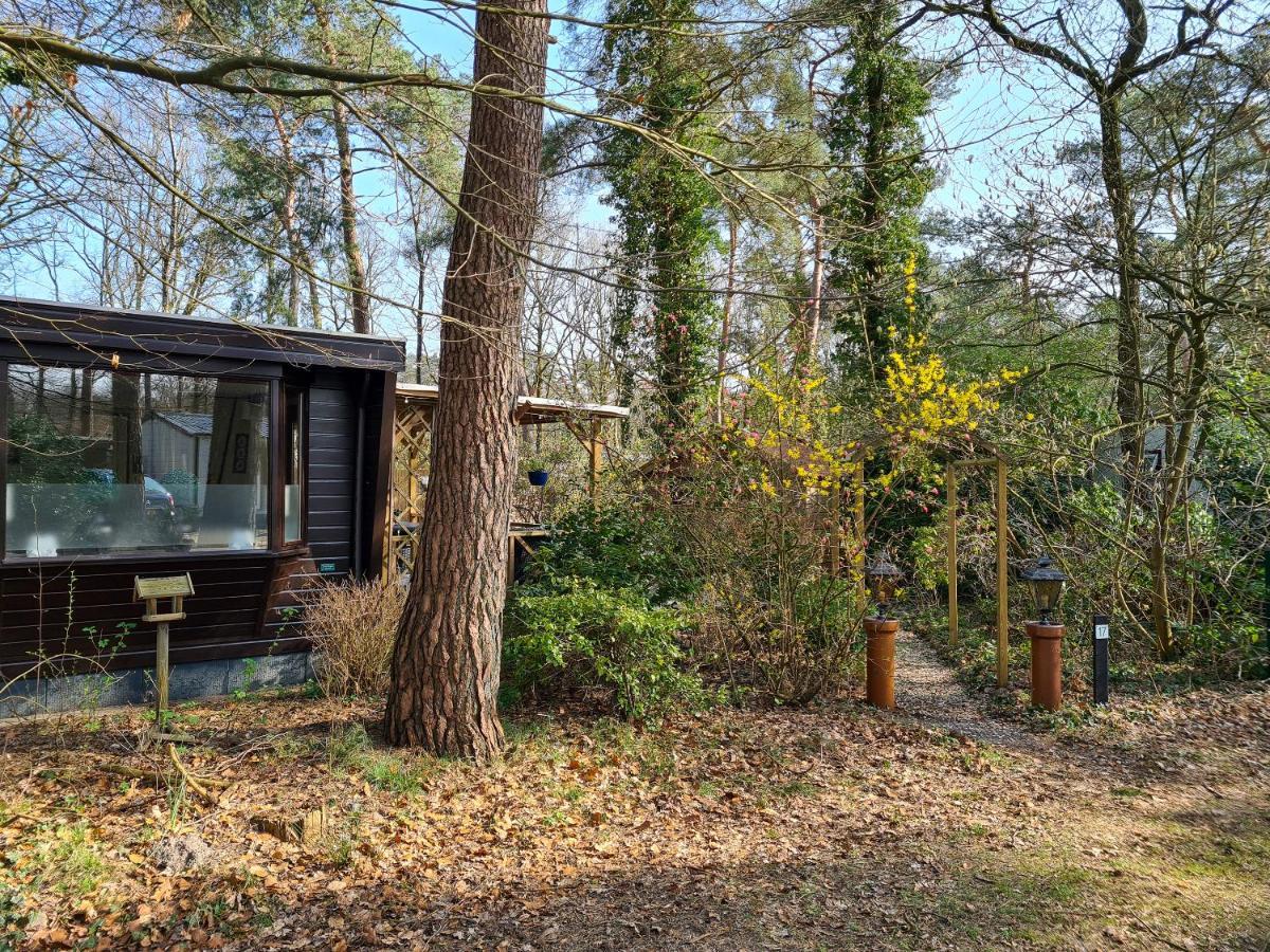 Chalet Boslust Villa IJhorst Ngoại thất bức ảnh